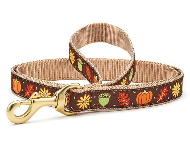 Dog Collars: 1